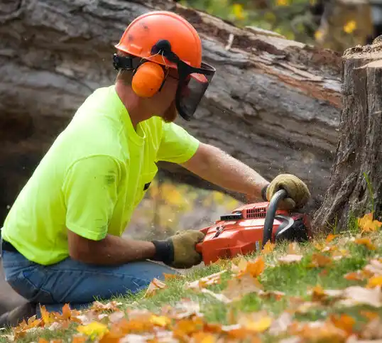 tree services Sharon